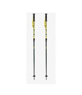 Line Batons De Ski Get Up